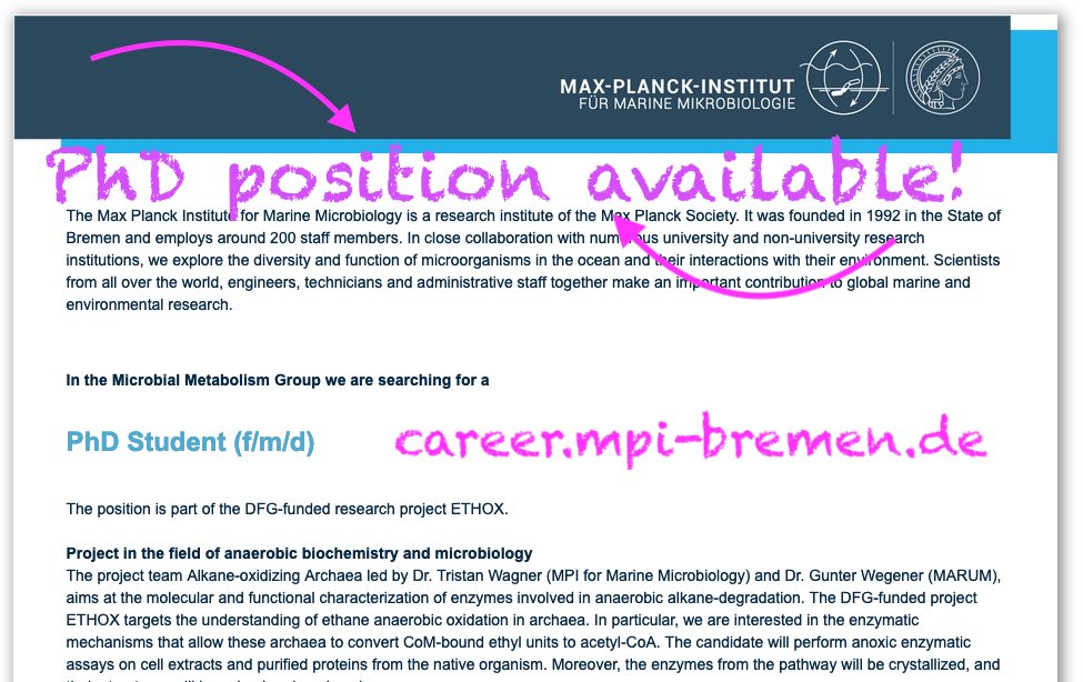 Do your #PhD with us! Our #Microbial #Metabolism Group is looking for a PhD Student (f/m/d) in the field of #anaerobic #biochemistry and #microbiology Learn more & apply here: career.mpi-bremen.de/jobposting/c49… About us: mpi-bremen.de #alkane #archaea @WegenerGunter #sciencejobs