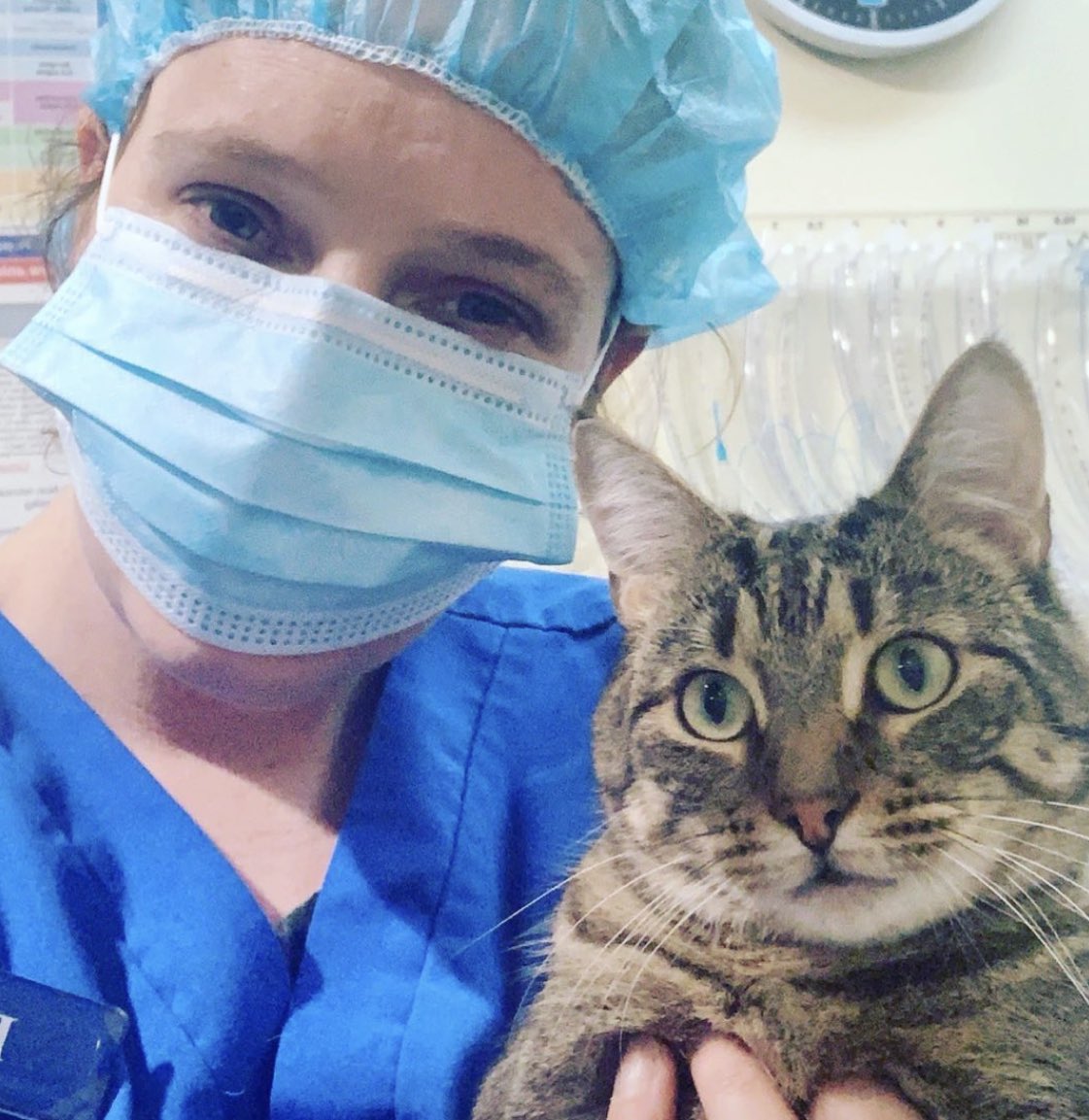 dubz_mrs's tweet photo. Hi, my name is Pru, I am 39 and have been a vet nurse for 12 years.

Under the Dan Andrews govt, I was forced to take 2 doses to keep my job even though the first gave me myocarditis and put me in early menopause.
#AndrewsMustGo https://t.co/GZ5Mps8FWE