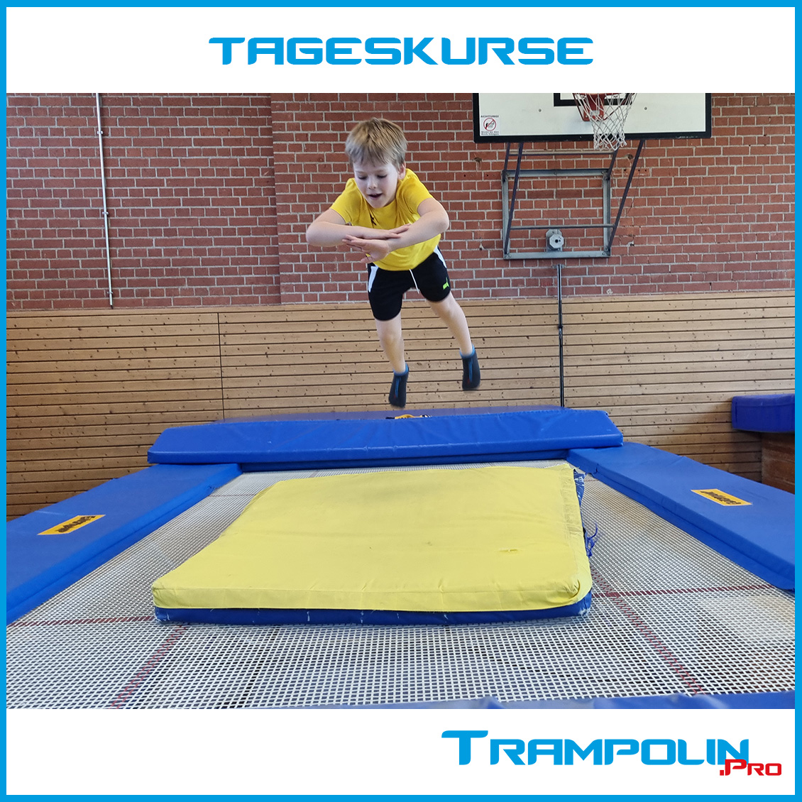 TrampolinPro's tweet photo. ‼ Tageskurse in den Herbstferien im Michaeli Gymnasium München ‼

Besucht unseren Tageskurs und erhaltet in zwei Sporteinheiten einen Einblick in die Ferienkurswoche.

Hier könnt ihr euren Ferientageskursplatz für die Herbstferien buchen:
👉https://t.co/ZC0zl0IJZp https://t.co/30ulTsnSPR