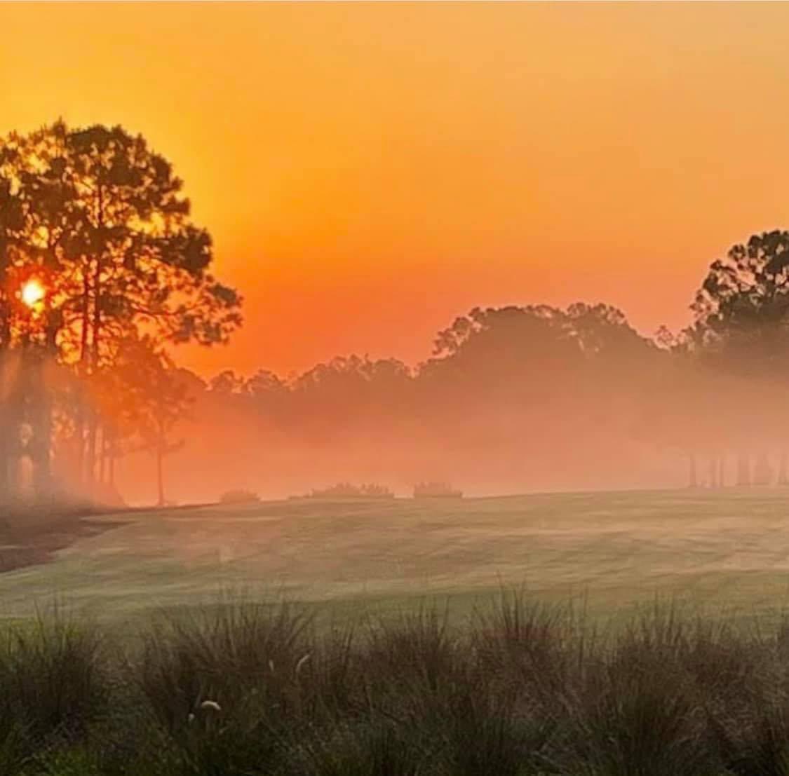 Jim Simpson tweet media