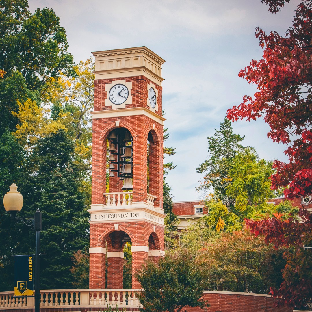 ETSU National Alumni Association tweet media