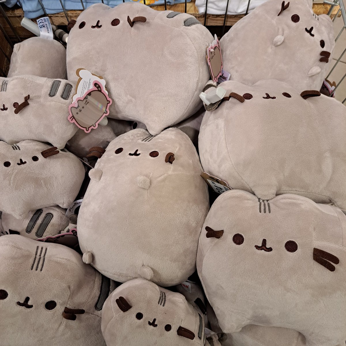 New in-store 🆕️

Look at these adorable #Pusheen plushies* 🥰 🐈

Available now, get here ASAP to grab yours!

#hmvForTheFans

*(PLUSHeen?)