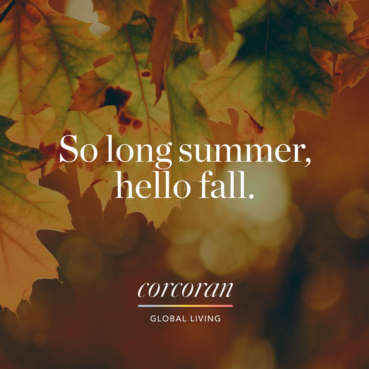 robertmack_kw's tweet photo. Leaves are falling and Autumn is calling. Sweater weather is here. Happy First Day of Fall! 🍂🍁 #sweaterweather https://t.co/uQtg40Igre