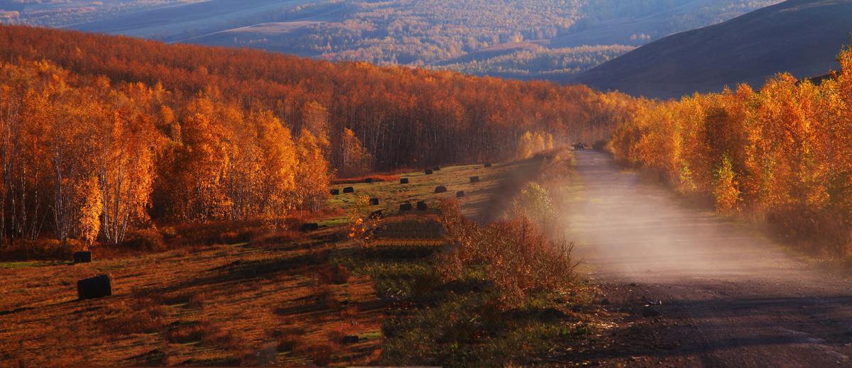 BoundforChina's tweet photo. Let’s admire the beauty of #Ergune in #InnerMongolia autonomous region! With about 1.56 million hectares of wetlands, it boasts diverse plant species. Forests, grasslands, wetlands, rivers and lakes abound in the city.
https://t.co/jyvcaoupye https://t.co/lhmTjEcYbq