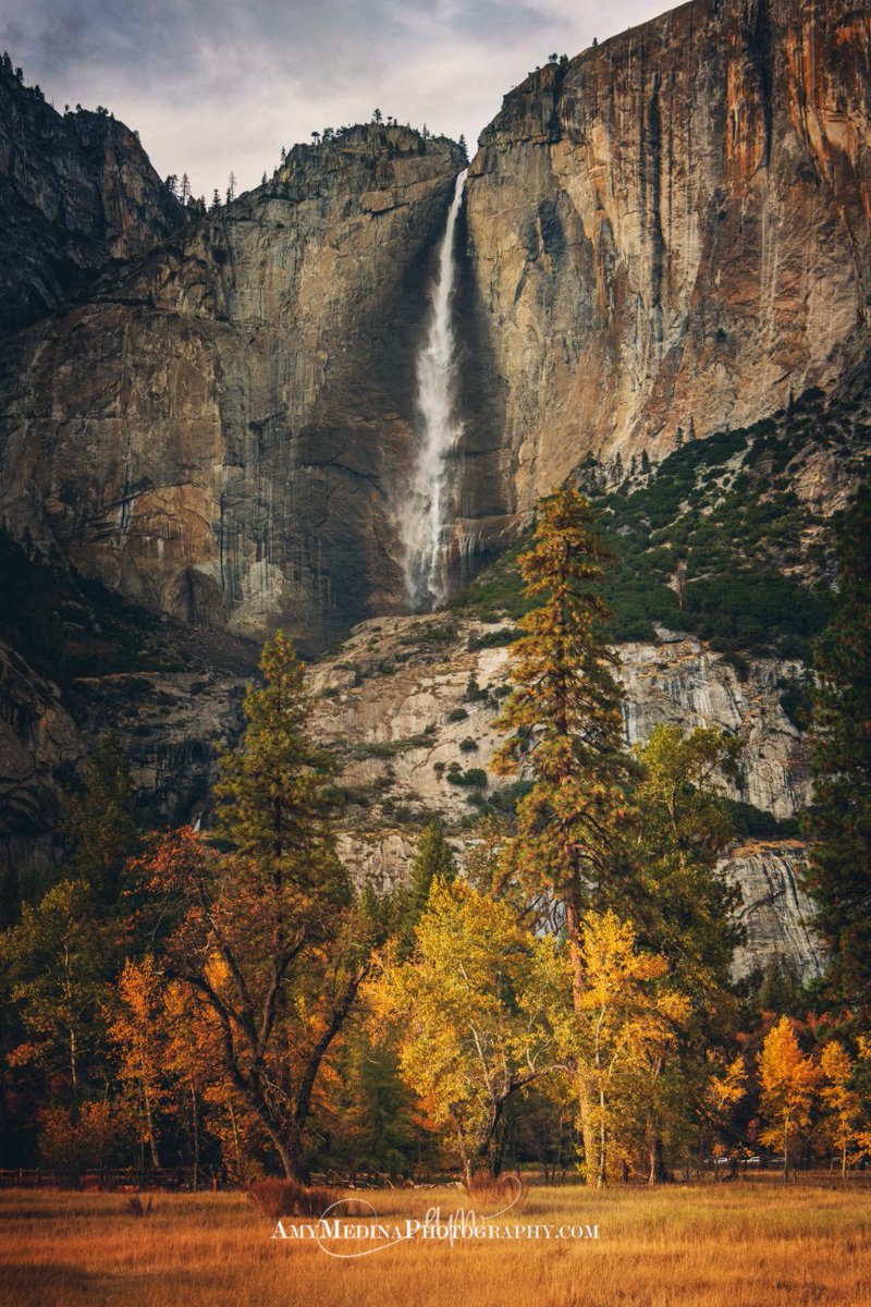 amymedinaphoto's tweet image. "Winter is an etching, spring a watercolor, summer an oil painting, and autumn a mosaic of them all." -Stanley Horowitz
#photography #fallphotography #firstdayofall