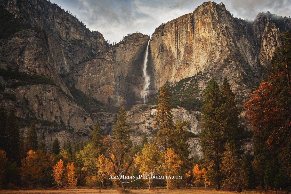 amymedinaphoto's tweet image. "Winter is an etching, spring a watercolor, summer an oil painting, and autumn a mosaic of them all." -Stanley Horowitz
#photography #fallphotography #firstdayofall