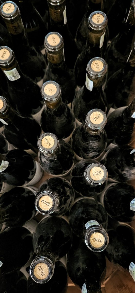 The Garajeest. tweet media