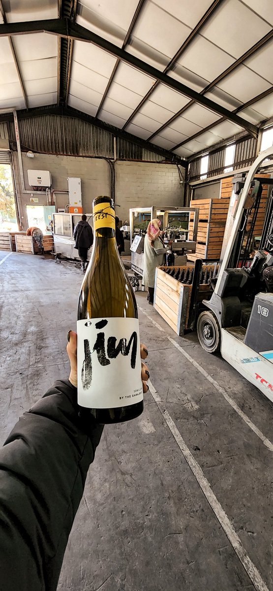 The Garajeest. tweet media