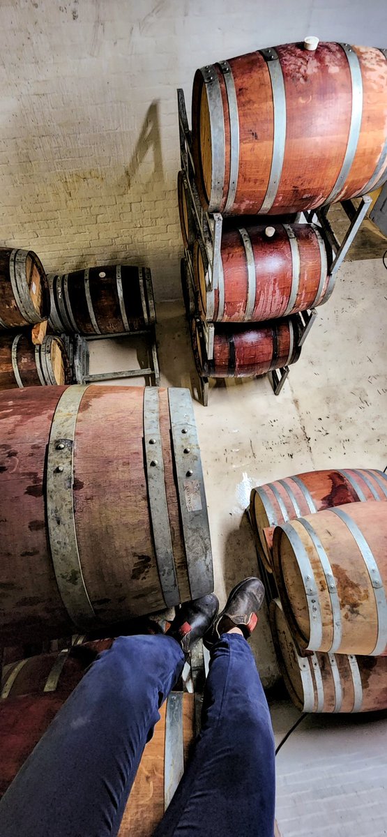 The Garajeest. tweet media