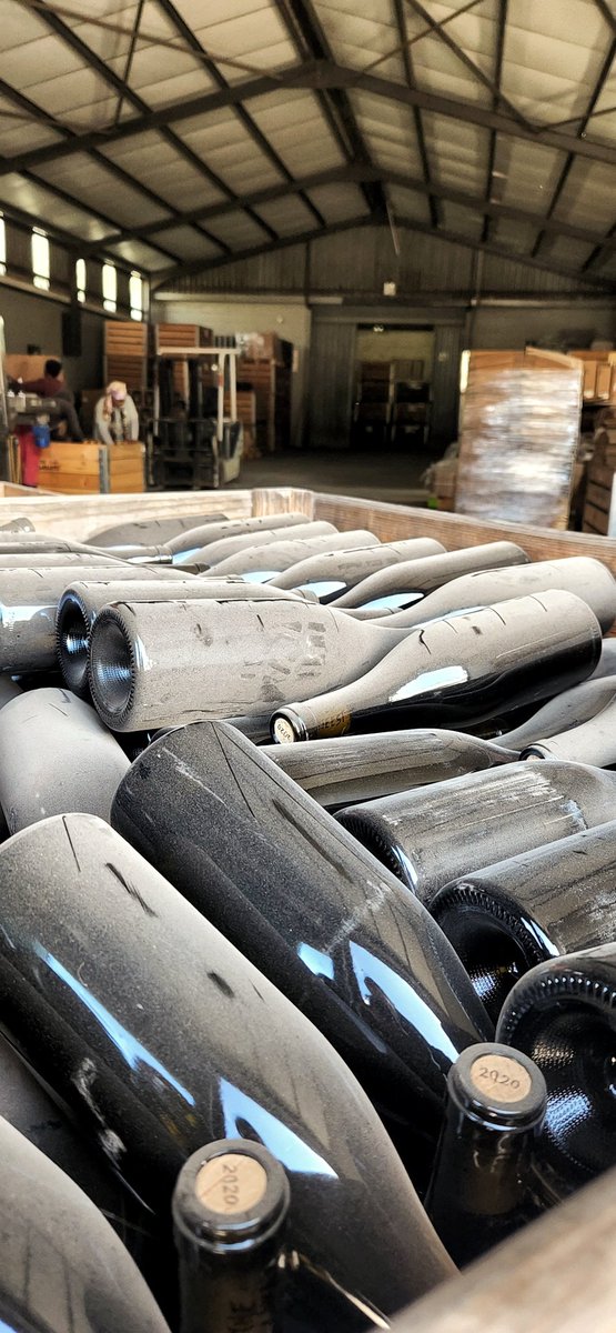 The Garajeest. tweet media