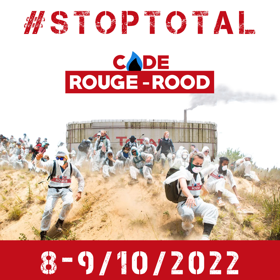 Coderougerood tweet media