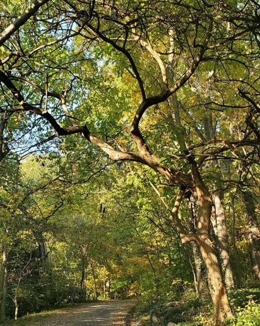 FortTryonParkTrust tweet media