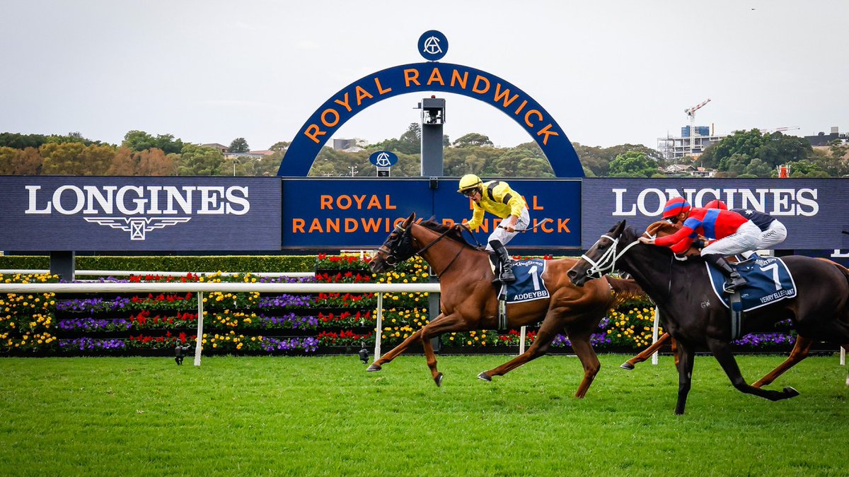 ashsh's tweet photo. If I was the owner of @VerryElleegant then there's a standout jockey without a #QPAT ride that would be top of my list..
#AussieTom π¦πΊπ³πΏ https://t.co/SzXpBUVKHj