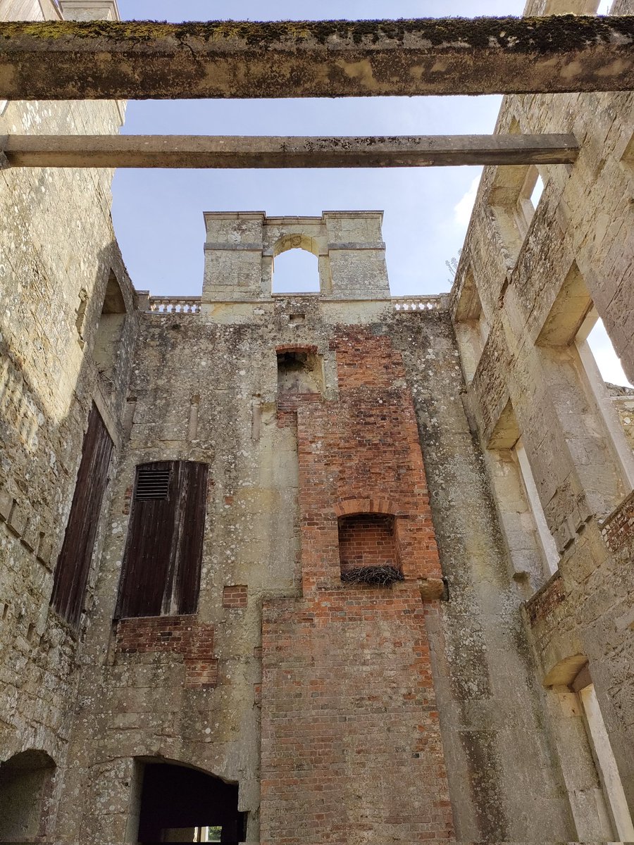 Teenski1's tweet photo. Love holidaying at home this time of year. Lots of free things to see. #Appuldurcombe #ruins https://t.co/HjtPuU2Vq6