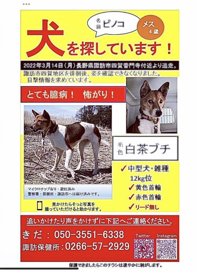 長野県の迷い犬一覧 Find My Pet