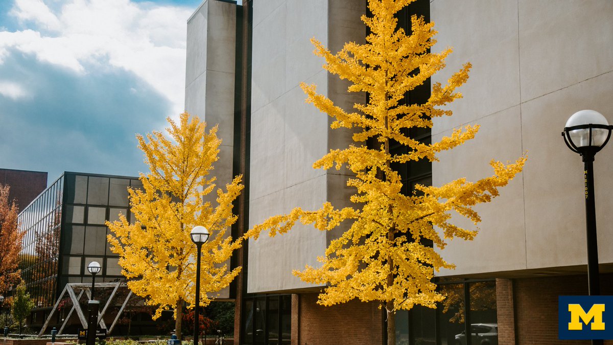 UMich's tweet photo. At this time each year, we fall all over again for the a-MAIZE-ing views across campus. Where is your favorite spot to take in the fall foliage? https://t.co/2DM8iY7GEx