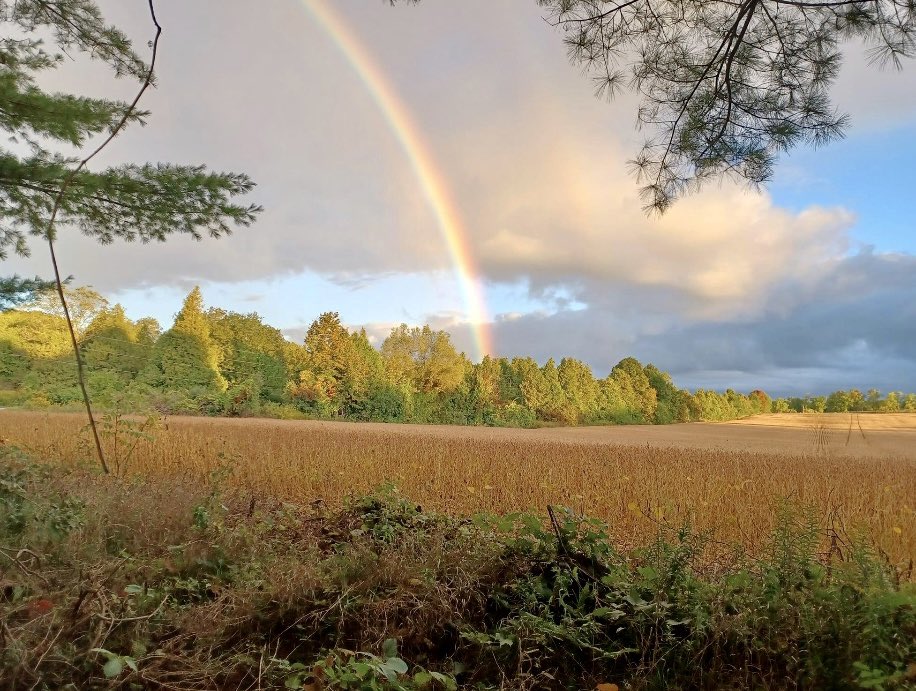 Autumn dawns 🍂 Photo capture by Jim Maker, our landscape artist & gardener - up early to catch the rainbows! 🌈 #Fall2022 #FirstDayofFall