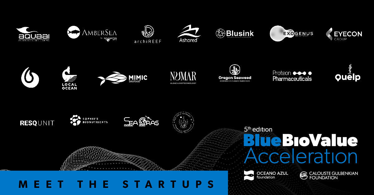 resqunit's tweet photo. 🌊 Resqunit just selected to join @BlueBioValue Acceleration program as 1 of 18 startups from 12 different countries. We're very excited to be part of this highly competitive program.
@OceanoAzulF @FCGulbenkian BlueBio Alliance MAZE Impact #Innovation #BlueBioValue #resqunit https://t.co/Nrm9KJQyDt