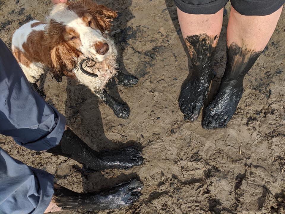 LancasterJane13's tweet image. Three years ago in Oct 2019 I walked the Pilgrims way to the holy island of Lindisfarne barefoot, 
with my friend @cmacleodnolan &amp;amp; deputy dog Rosie. The dog was appalled at the black mud. #pilgrimsway #lindisfarne #northumberland @northcoastaonb @NE_Northumbria @lindisfarne_nnr