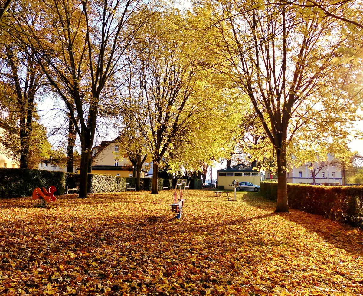 PestWorld's tweet photo. It’s officially fall season! Here are ten 🔟 pest-proofing tips to keep #pests outside during the #fall and #winter. #PestPreventionTips #FirstDayOfFall 🍂 https://t.co/iEEQDJhF82 https://t.co/fjsESZEqT7