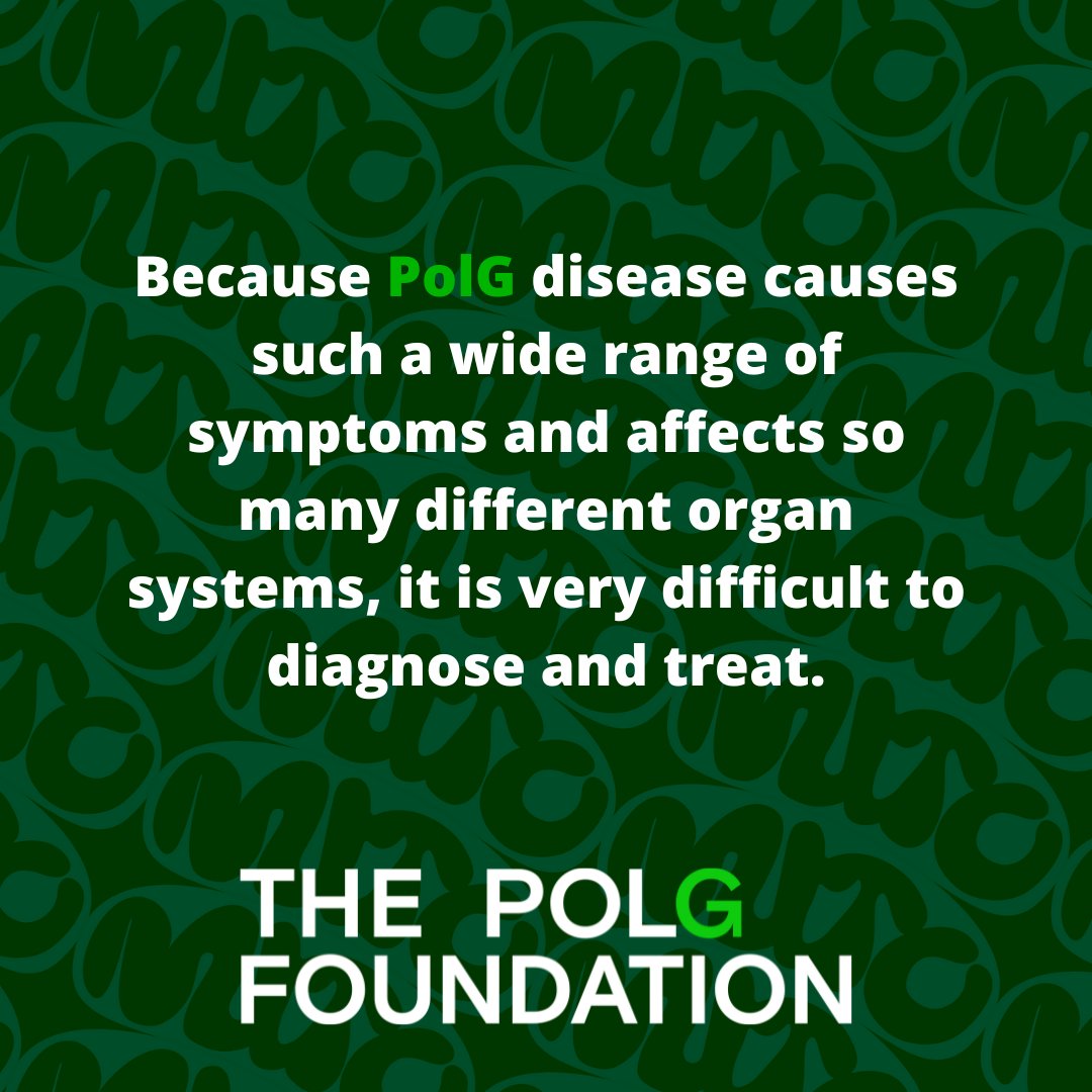 Mito Research tweet media