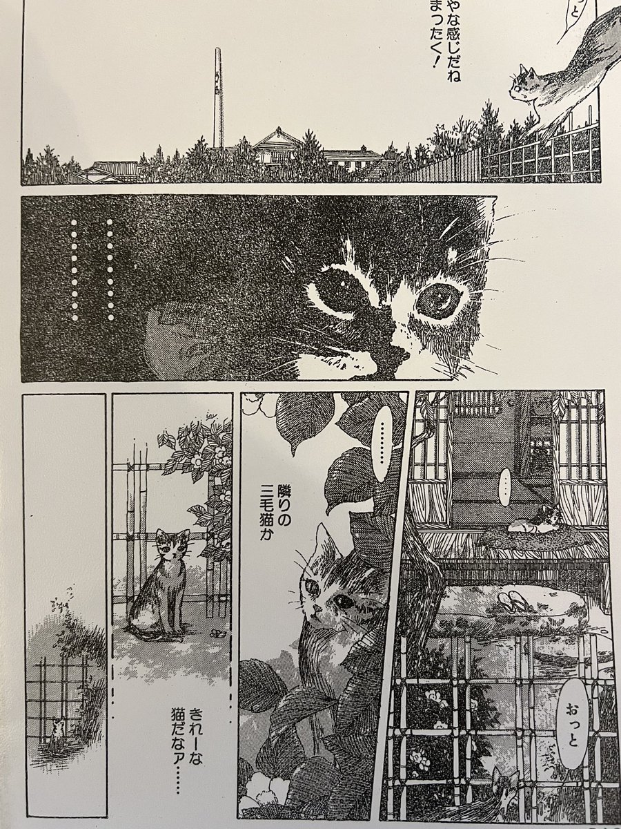 80年代初めセブンティーンにてデビューして以降青年誌等にも読み切りを描かれていた出原正美先生。抜群の画力と個性で大好きだったが見かけなくなって以降すっかり忘れていた。ふとした事から現在は諸星大二郎先生の奥様だということがわかりビックリ。また漫画描かれないかな〜 