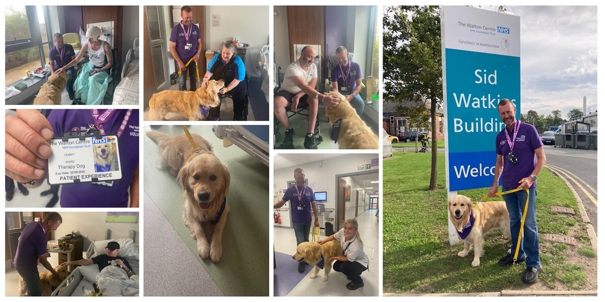 WaltonCentre's tweet photo. We had a very special visitor today – Lemmy our new Therapy Dog and his owner Rob Ward. Lemmy visited patients and staff on our Complex Rehabilitation Unit and with his official ID badge, volunteer neckerchief and adorable personality, he made quite the impression! 🐶 🙋‍♀️ 😍 https://t.co/5dlYis26QD
