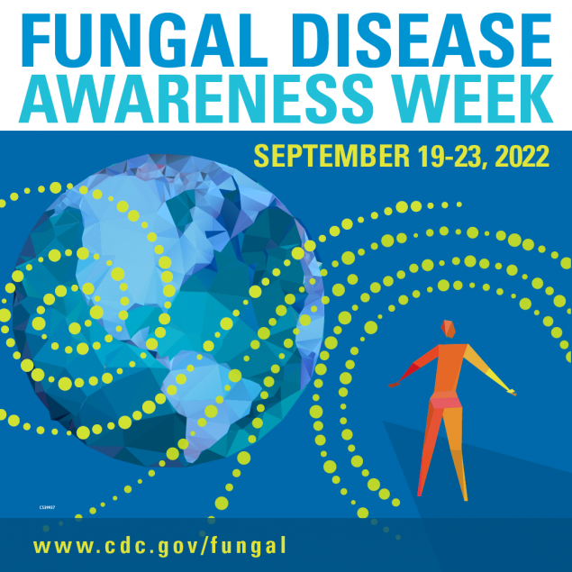 #AntimicrobialResistance is an emerging threat. Knowing when to prescribe antifungals or antibiotics can help reduce resistance in patients. Remember to #ThinkFungus when an illness is not getting better with antibiotics. #FungalWeek. #AntifungalResistance