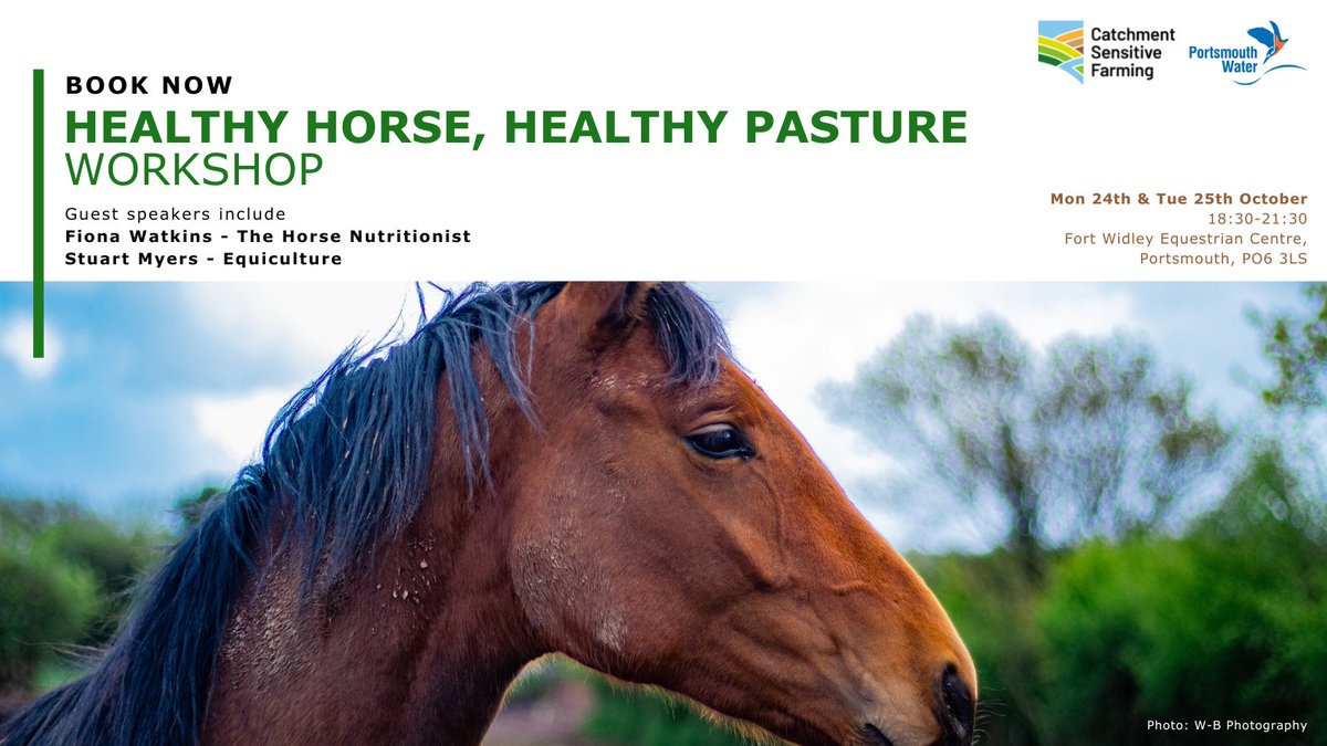 EquicultureJane's tweet photo. https://t.co/gWGTYh6BNE #EquicentralSystem #Horse #Equine #HealthyHorse #HorsePastureManagement https://t.co/xAvmrweX8p