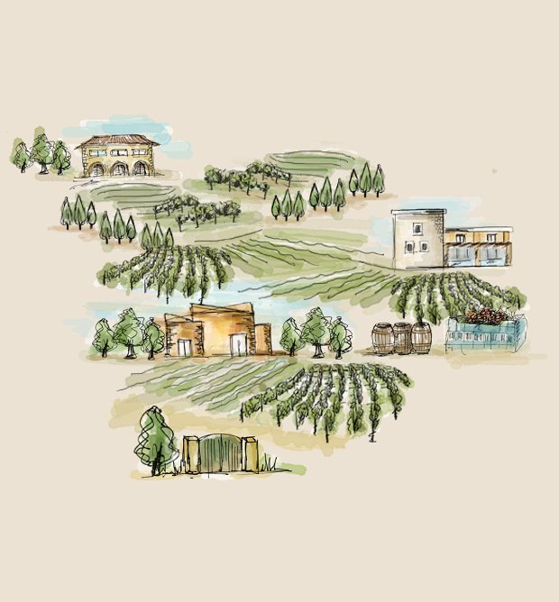 Paterianakis's tweet photo. Map of the winery!
Visit Domaine Paterianakis and have a walk through our organic vineyards and our accompanied with a tasting of our organic and natural wines!
#winesofcrete #tastecrete #tasteauthentically #domainepaterianakis #organicwines https://t.co/G8y2npRpIN