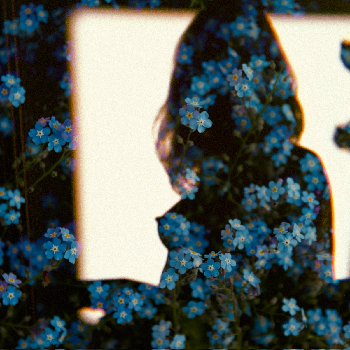 Blue love.

Forget Me Not, available in <a href="/1stDibsNFT/">1stDibsNFT</a>