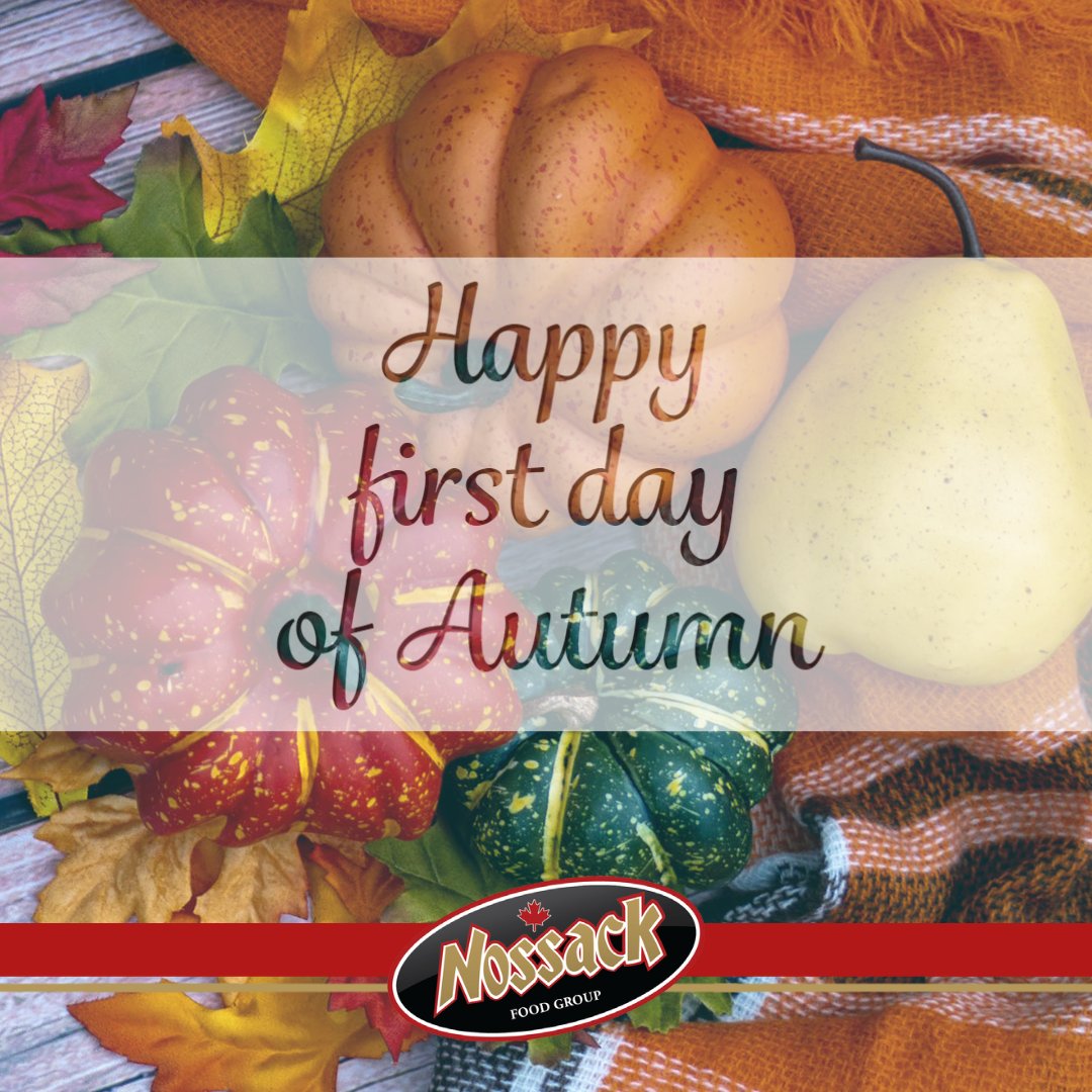 🍂 “Anyone who thinks fallen leaves are dead has never watched them dancing on a windy day.” – Shira Tamir