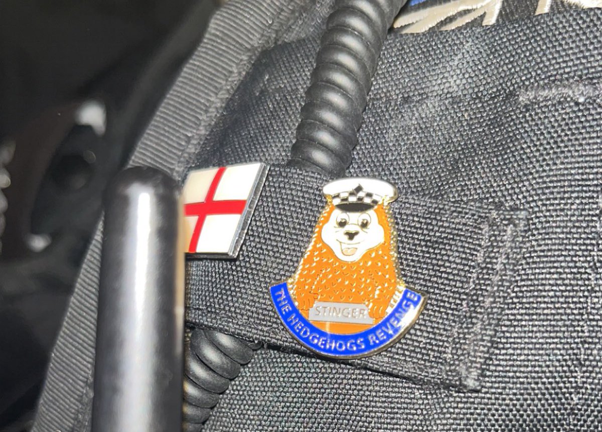 Now the proud owner of one of these🦔 3/4 tyres for a first attempt ain’t all that bad (and no police cars!)