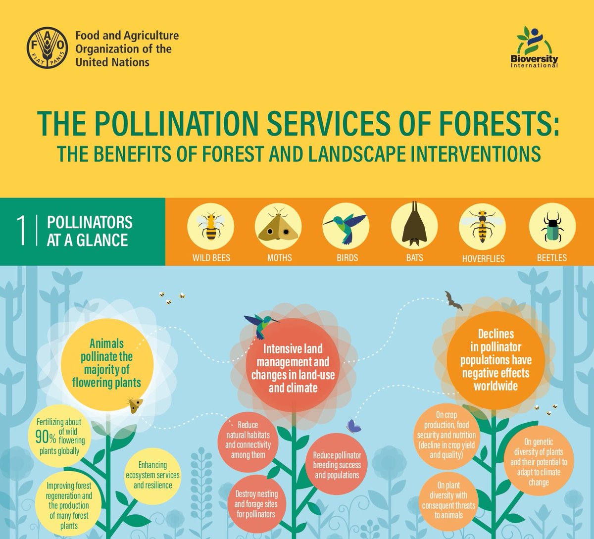 Pollinators are essential for food security, biodiversity and other ecosystem services!🦋🍎🐝🌻🐦🌽

But they face many challenges from intensive agriculture, to habitat loss and #ClimateChange & more...

📷@FAO

🔎@IPBES #PollinationAssessment ipbes.net/assessment-rep…