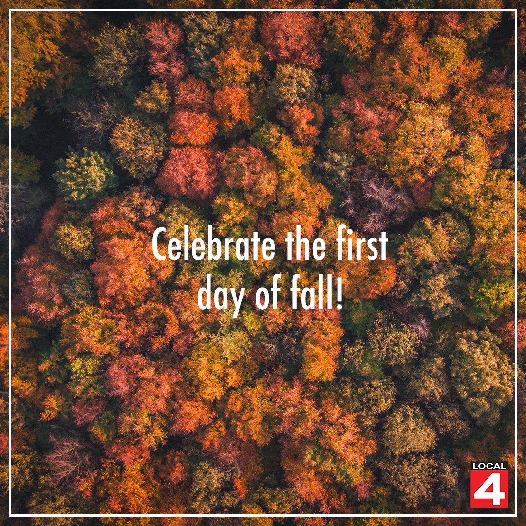 Local4News's tweet photo. 🍂 What’s your favorite part of #fall in #Michigan? https://t.co/3BFbIHQ4O1