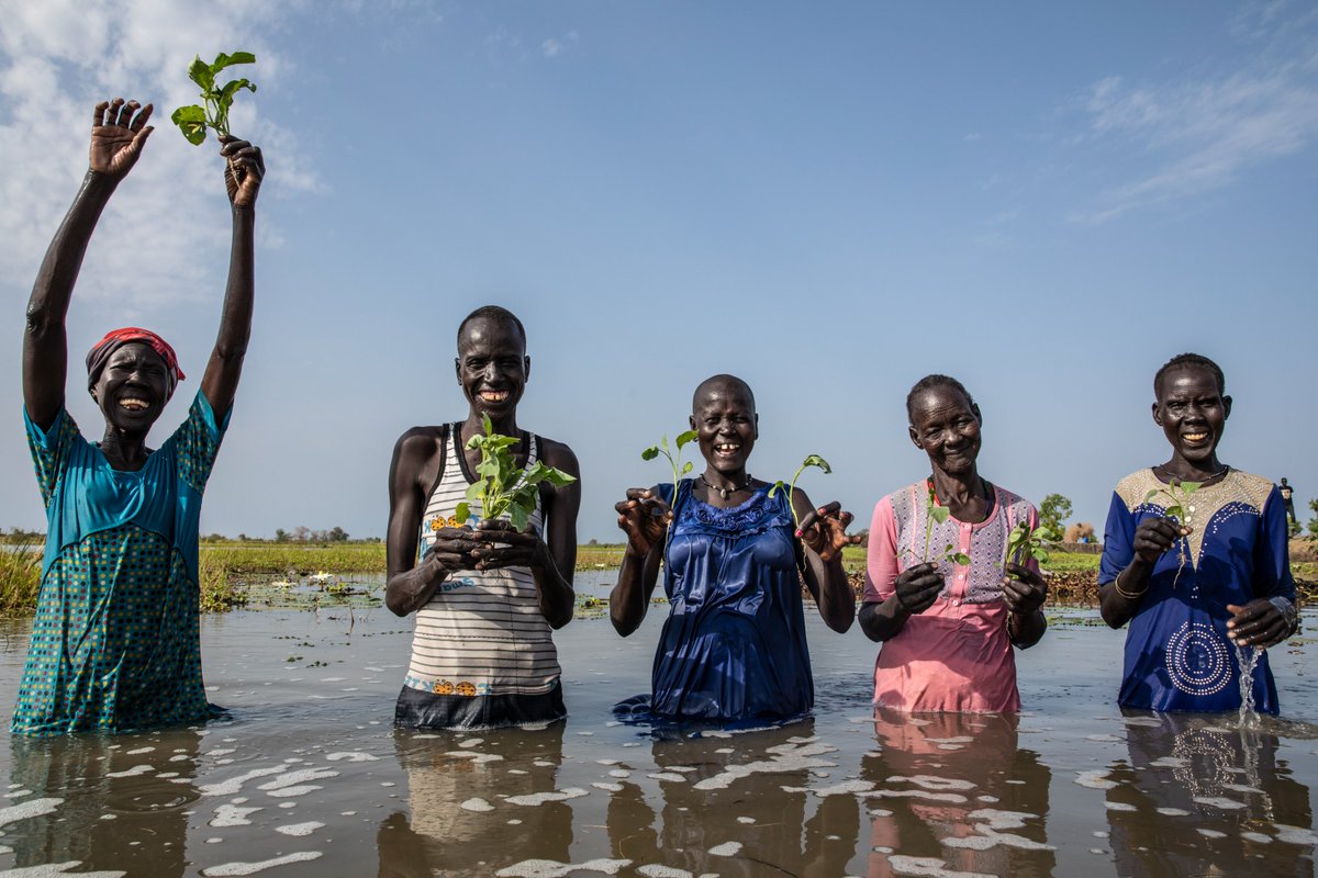 WFP_SouthSudan's tweet photo. Our #PhotoOfTheWeek is this group of people from Mankuai in Rubkona County where @WFP is implementing floating vegetable gardens to help communities adapt to climate change🌱

#SouthSudan #SSOT https://t.co/iqes0rvcP4