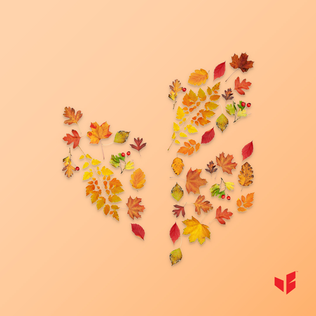 It's officially fall y'all 🍁🍂