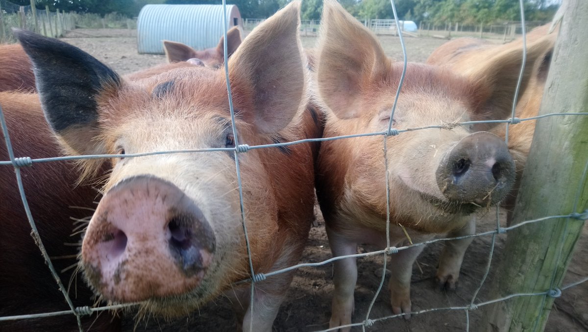 Dan Eatherley tweet media