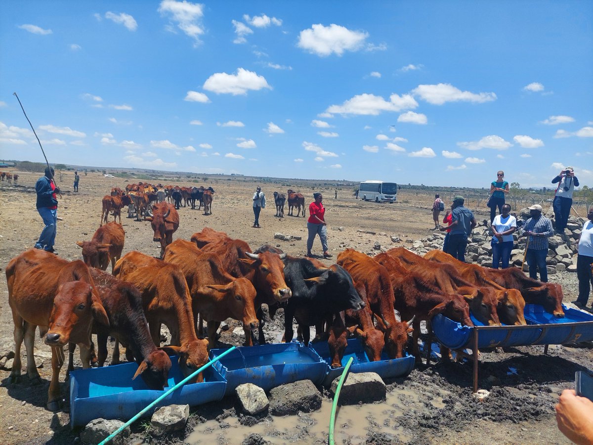 Recurrent #drought makes communities extremely vulnerable to water scarcity, food insecurity &amp; economic losses. The situation is dire, especially among the #pastoral communities. <a href="/D2E_Project/">DOWN2EARTH</a>   works with local communities to provide climate services in building #resilience