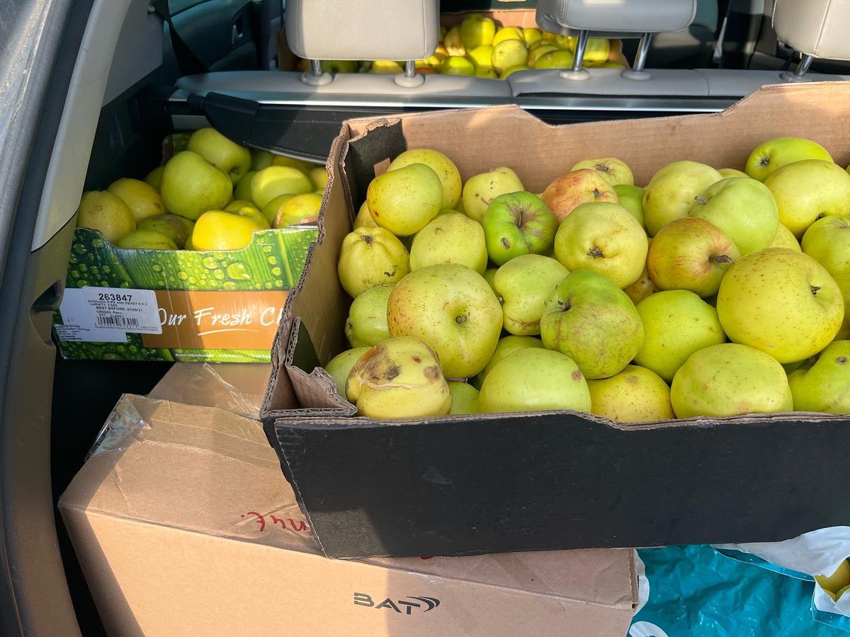 DonegalQuayWest's tweet photo. Isn’t nature fabulous, an abundance of fresh fruit and apples just ripe for harvesting. Going to be a busy weekend in the kitchen #autumnbounty #freshlyforaged #natureslarder https://t.co/vBBszlVWtg