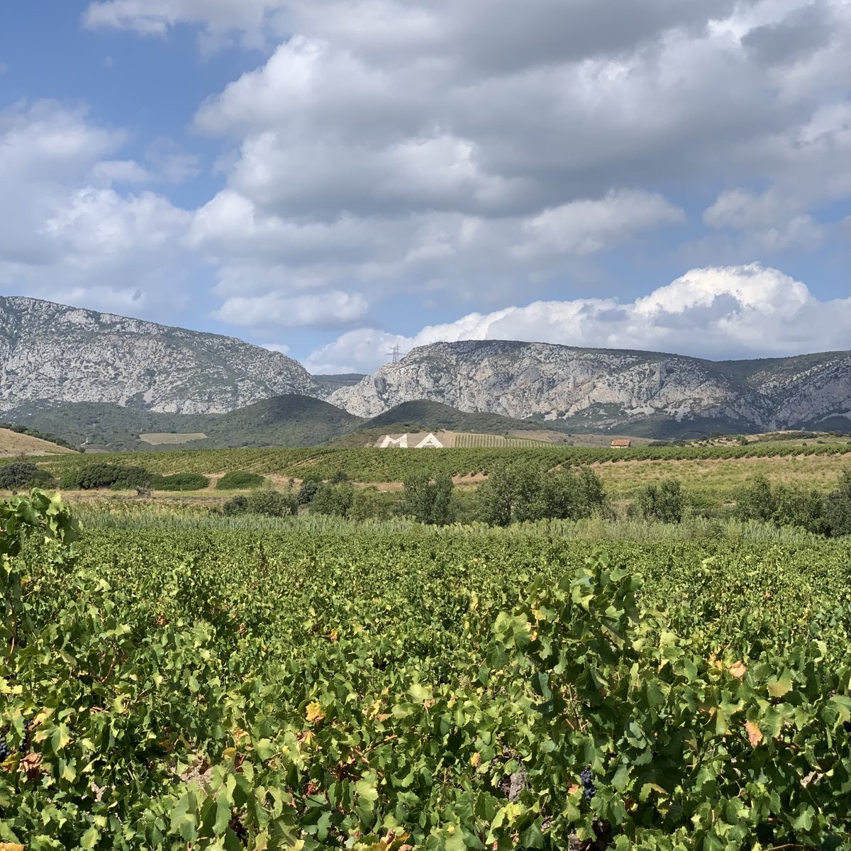 BlindTasters's tweet photo. I like it when wineries are easy to find #MasAmiel #Maury #Roussillon https://t.co/8WOHLYoVRW