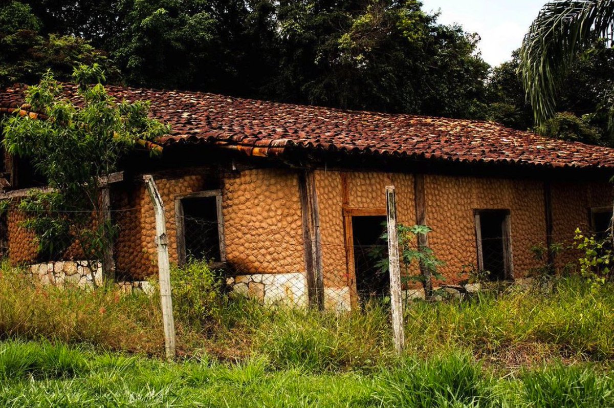 CudoDAO | NEAR tweet media