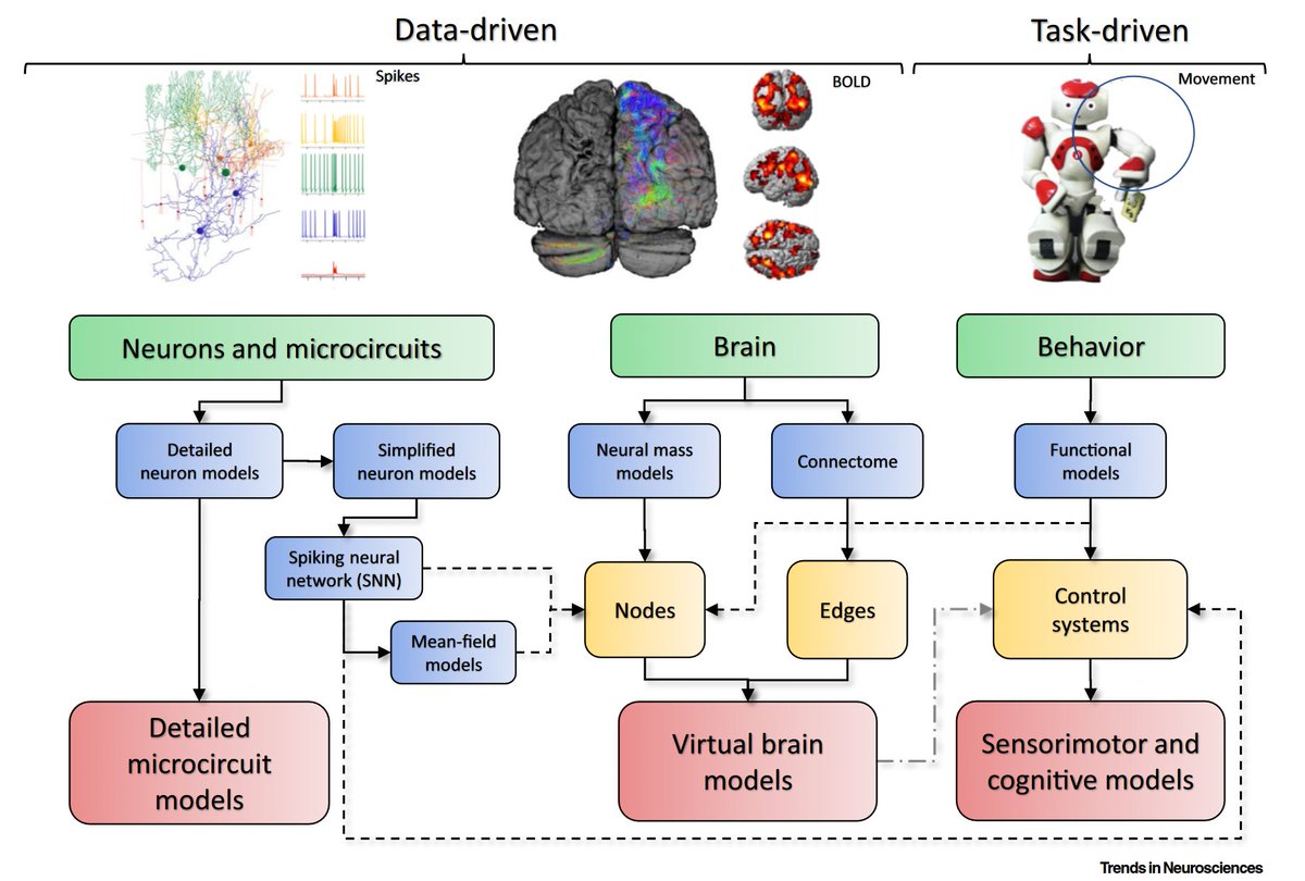 Luiz Pessoa tweet media