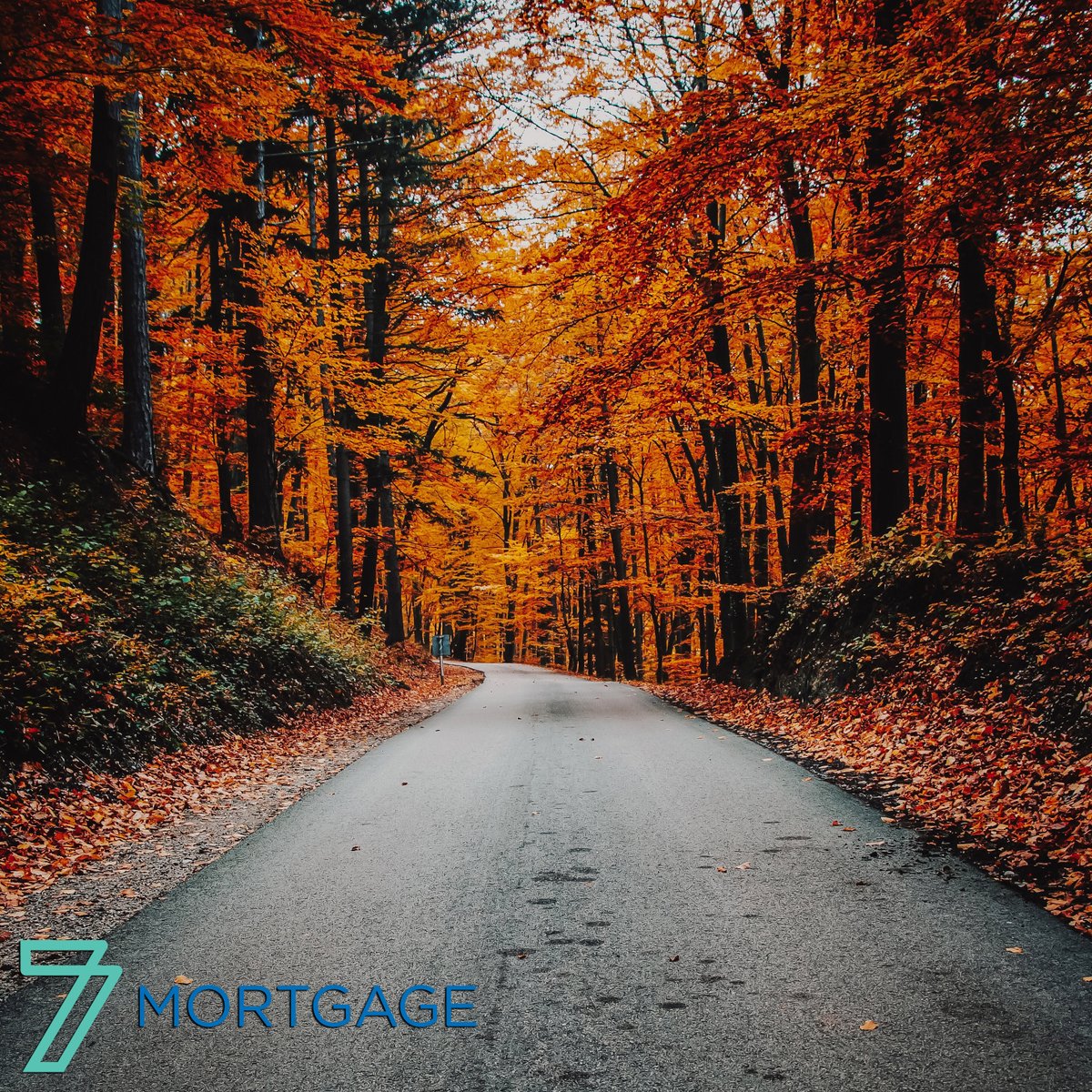 Who else is ready to see the leaves change colors?
Happy First Day of Fall! 🍁

#Fall #FirstDayofFall #Autumn #AutumnEquinox