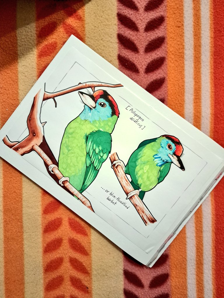 rimatesa91's tweet photo. Did you know that seed-dispersing animals (a lot of them now endangered) help fleshy-fruited plans adapt to climate change by bringing the seeds to suitable habitats?
°
#Science #SciArtSeptember #sciart #NaturePhotography #nature #biodiversity #wildlifephotography #wildlife https://t.co/Oz4DvW0dnm