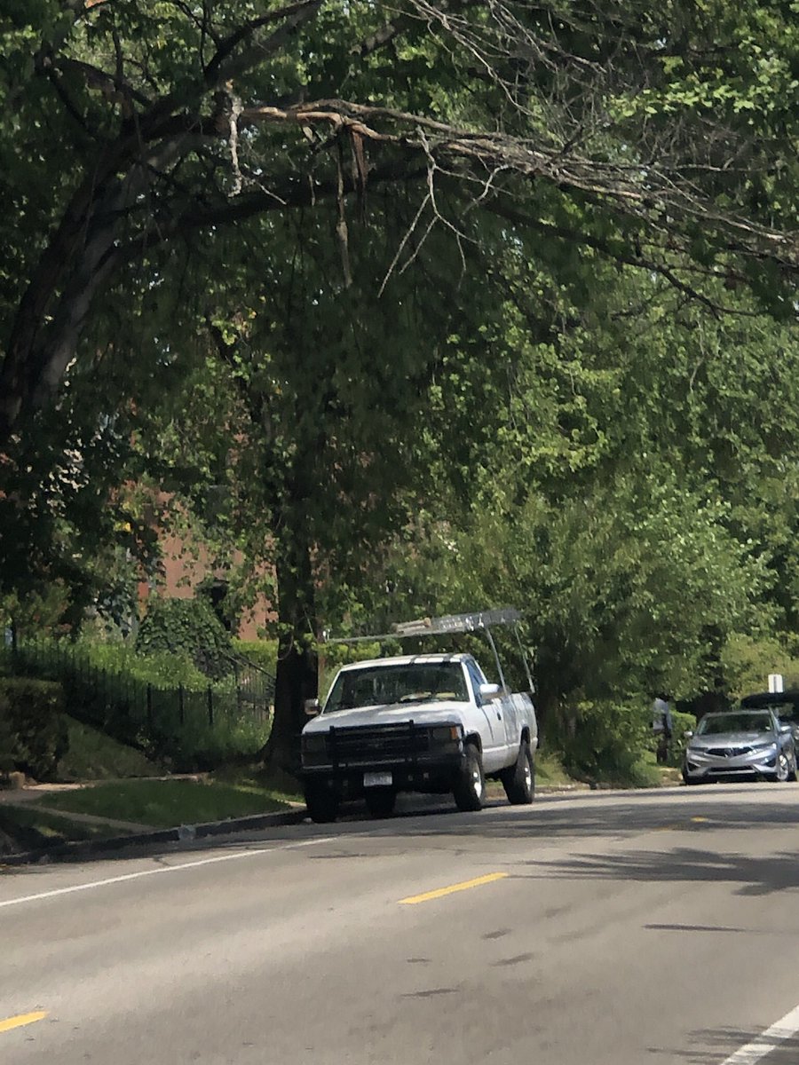 ComptonHeights's tweet photo. @stlcsb two trees with dead portion over traffic on Compton that loose limbs regularly.  One at 1931 S Compton and the other at 2102 S Compton. Thanks https://t.co/gYcRUPFoek