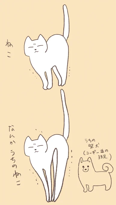 長く見えるんだよね… 