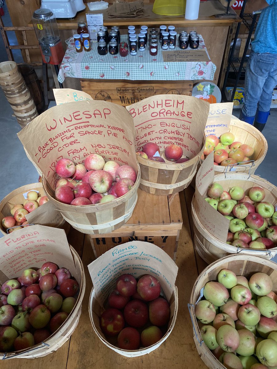 CiderFire's tweet photo. @DinaPugliese that’s right #apple season is here! Drive on up to the farm! Or we can have “2 dudes on a road trip” @FrankFerragine @devobrown #BruceCountyON https://t.co/YGi8zmBEOz