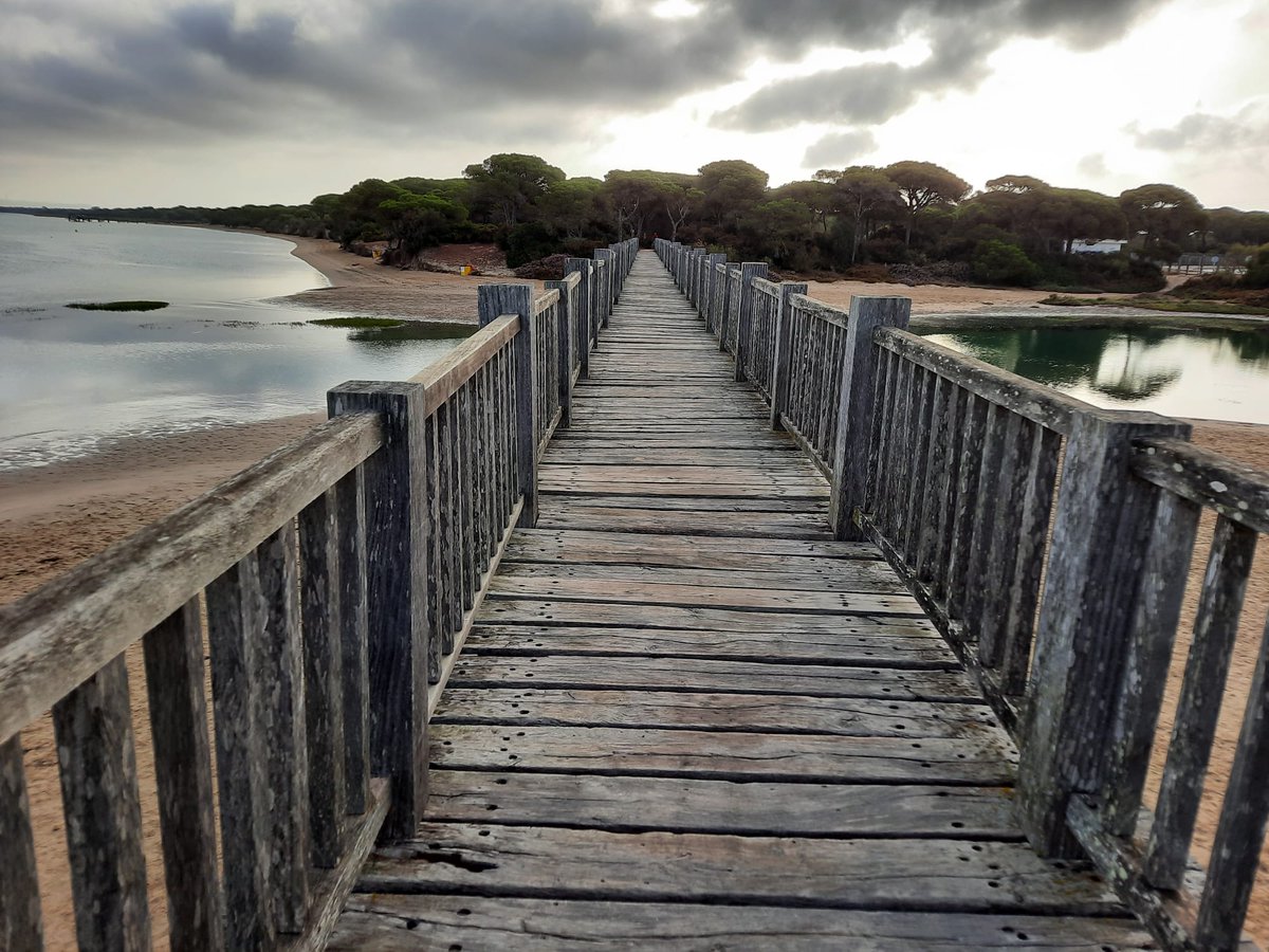 Integracee's tweet photo. 🥇 "CALMA EN LA ALGAIDA" gana el #XIIIConcursoFotografía tras haber obtenido el 54,2% de vuestros votos.

¡ENHORABUENA @NURIA04979398!  

📸 Muchas gracias a todas las personas participantes y por vuestras votaciones.

🔗 https://t.co/Ule8TvCxS1 https://t.co/6OTkunzmqG