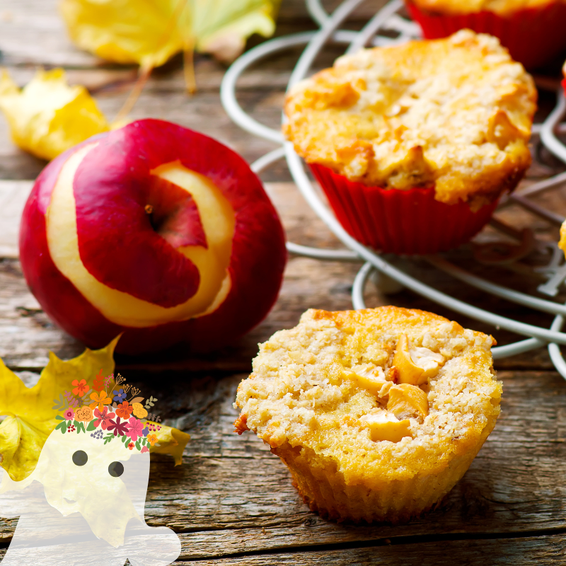 possiblyhaunted's tweet photo. Merry Mabon & Happy Fall! What are y'all doing for the day!? πβοΈπ
#phpodcast #possiblyhaunted #podcast #haunted #creepy #spooky #creepychicks #spookychicks #coven #fall #mabon #autumn #autumnequinox #fallleaves #equinox #anchor #spotify #googlepodcast #applepodcast #stitcher https://t.co/4uEY1eGRXx